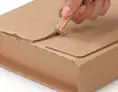 Étui postal carton avec fermeture adhésive 31x22x5 cm | OD0151-M | Bulteau Systems