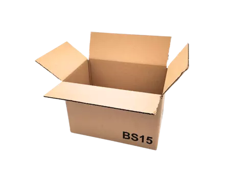 CARN TYPE A15 300x200x200 DE C20 | CBS15-M | Bulteau Systems
