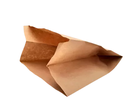 Sac papier kraft 2 soufflets brun 23 x 24 cm 70g/m² pour biodéchets et collecte alimentaire | SACK2S11-M | Bulteau Systems